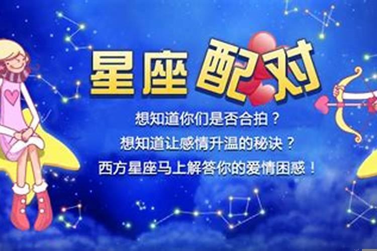 天秤女与12星座配对指数