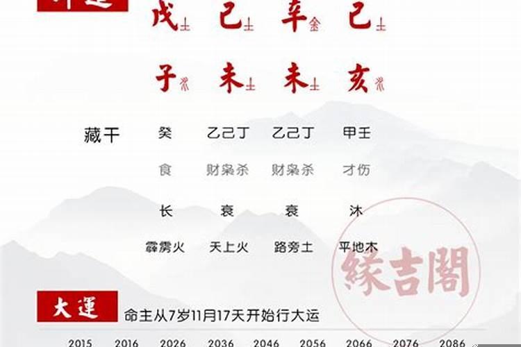 枭神夺食的命都不好