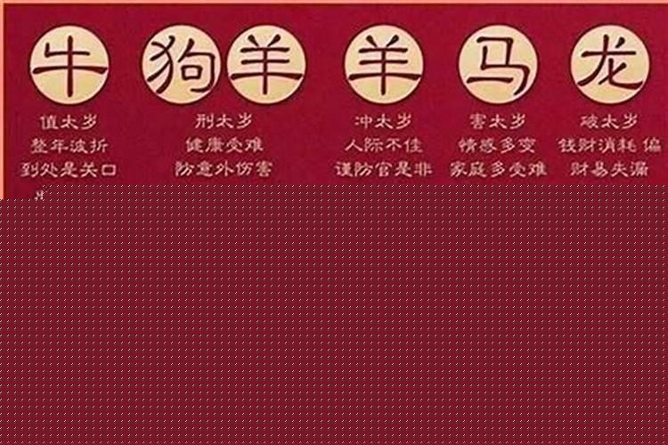 77年属蛇人2021年的财运