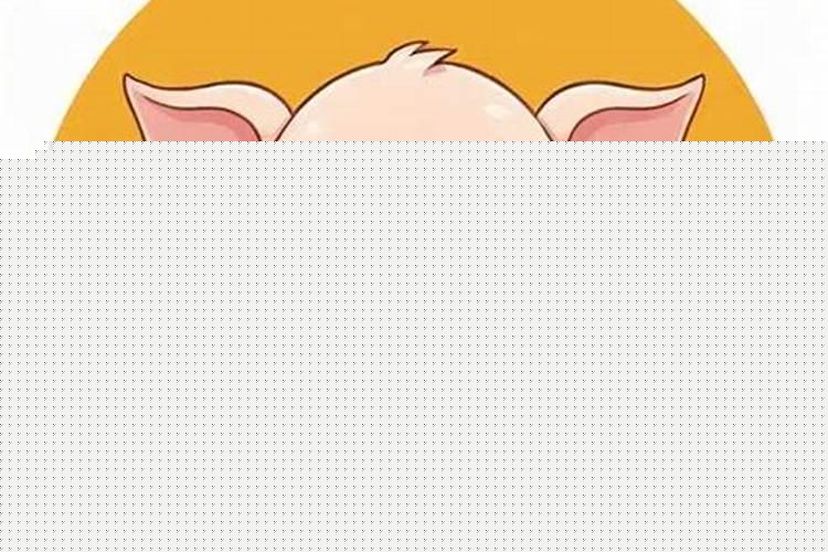 今年的生肖年是哪一年