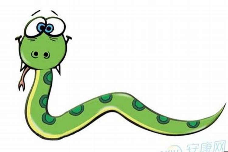 属蛇人生在寅时好不好