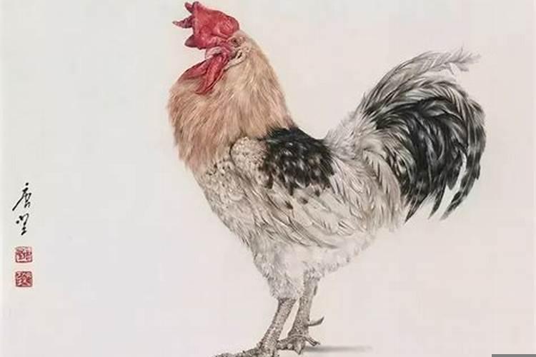 农历七月生肖鸡一生运势