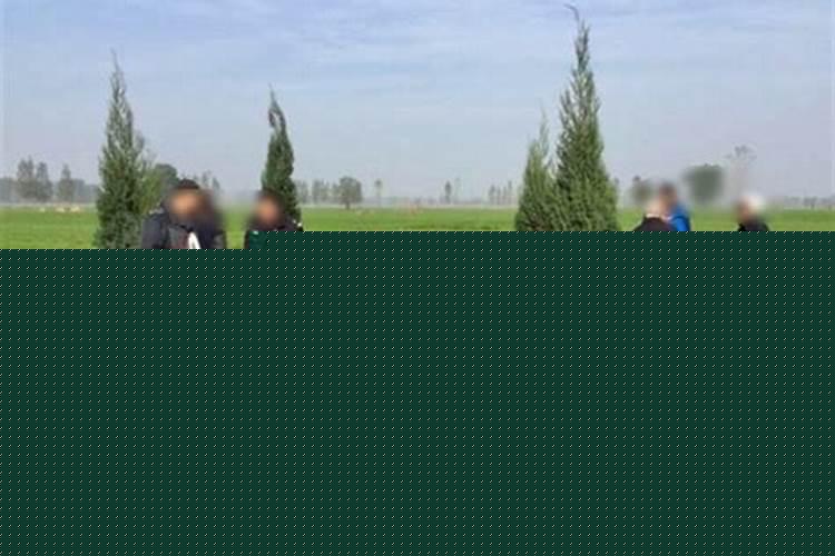 迁坟次数多了好吗