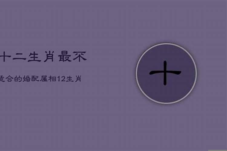 什么属相婚配最佳