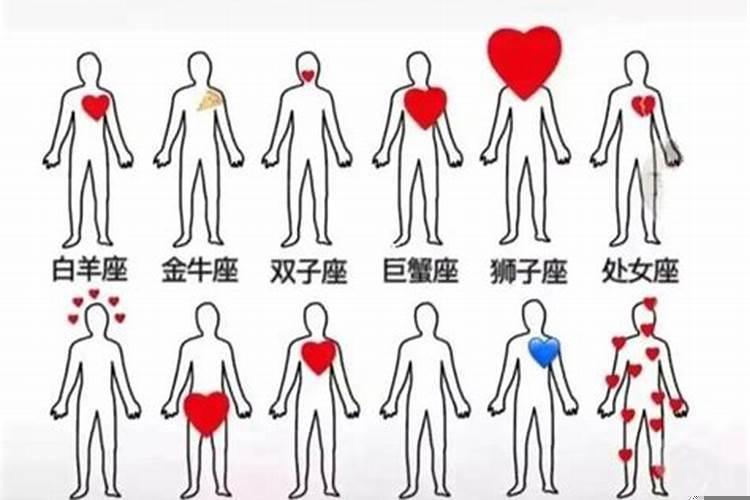 不会谈恋爱的星座男