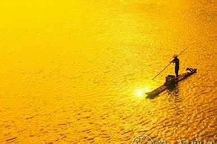 海中金命人适合做什么生意