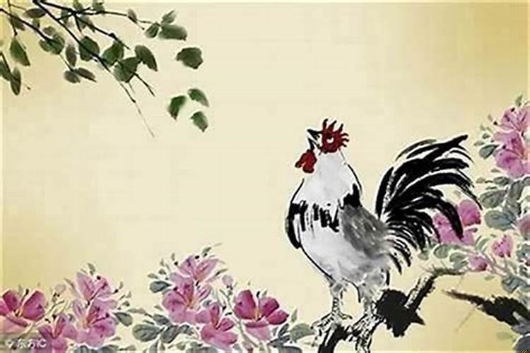 今年肖鸡财运和命运