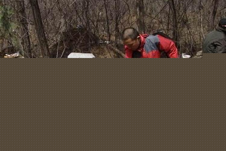 今年清明上坟能动土吗