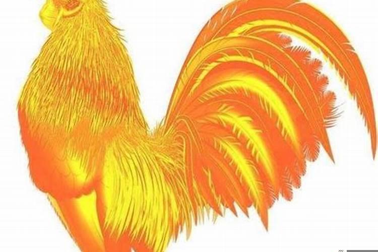 生肖鸡的性格特征是什么