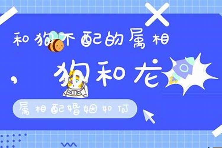狗和龙属相合不合婚