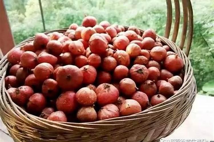 梦见洪水预示什么周公解梦