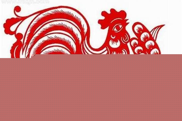 属鸡的人最怕什么动物