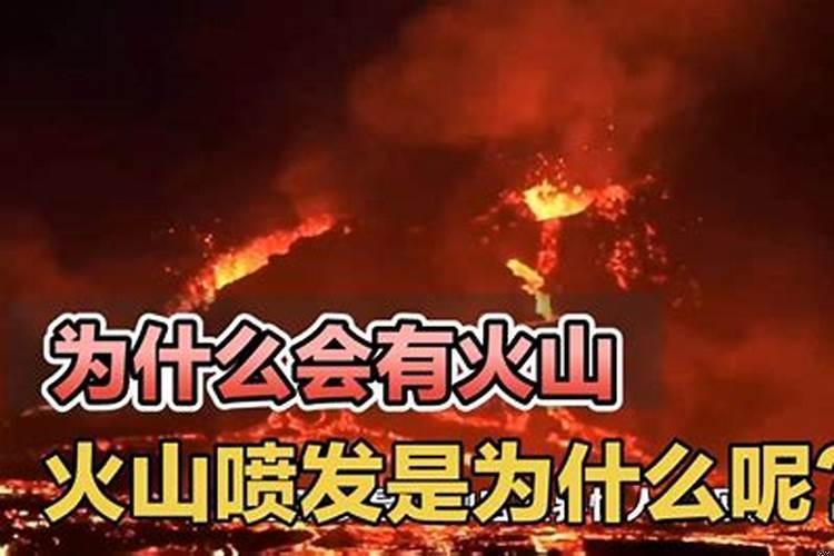 风火山林指什么生肖