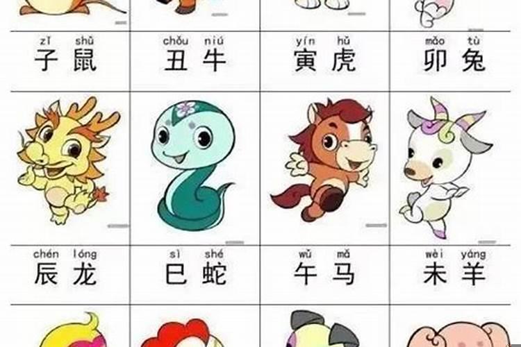 2021年5月10冲什么生肖