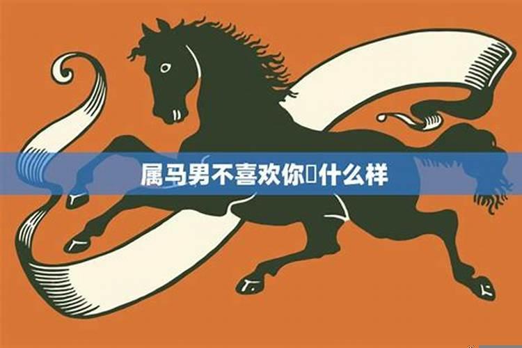 马不喜欢的生肖