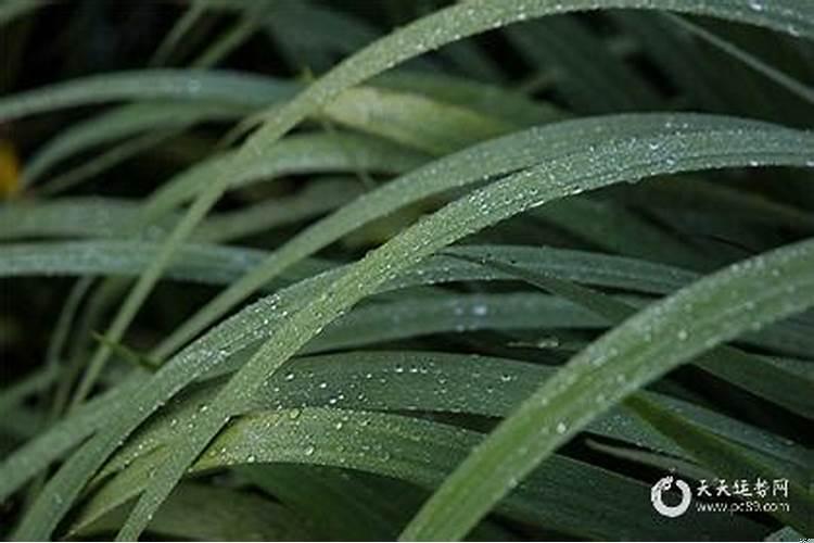 客厅做个屏风会影响风水吗