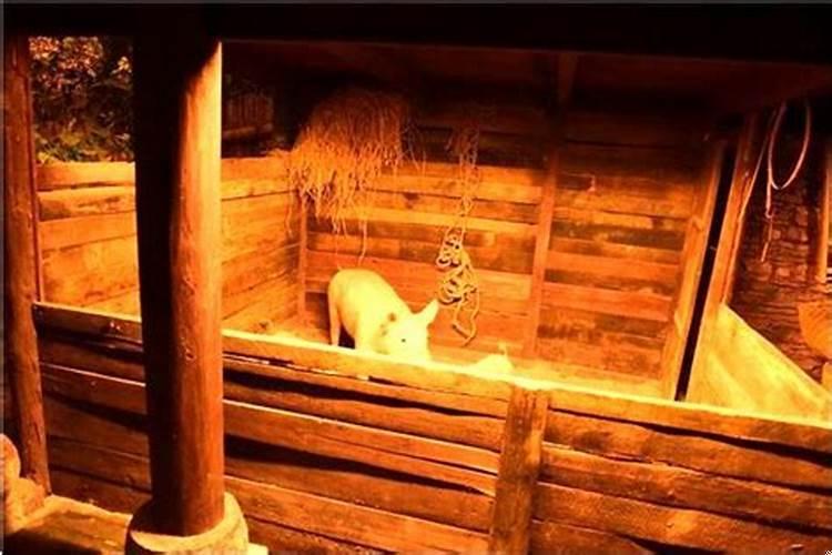 这几天每天晚上都做梦是怎么回事