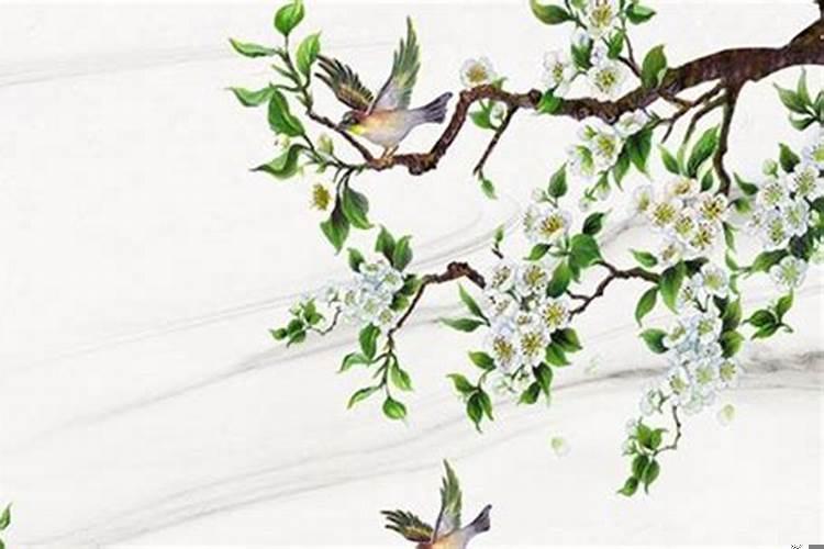 2005年属鸡人高考运