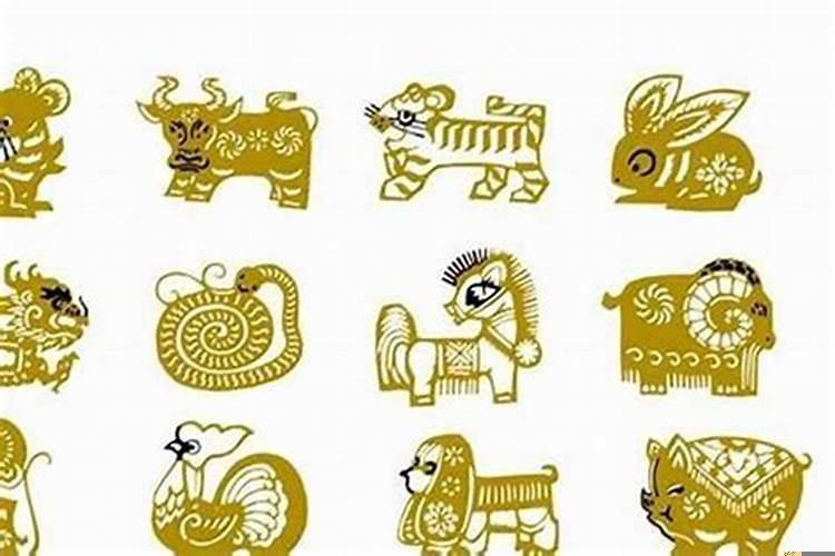 龙虎属相在一起好吗