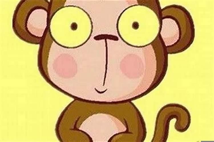 属猴的和属啥的最相配