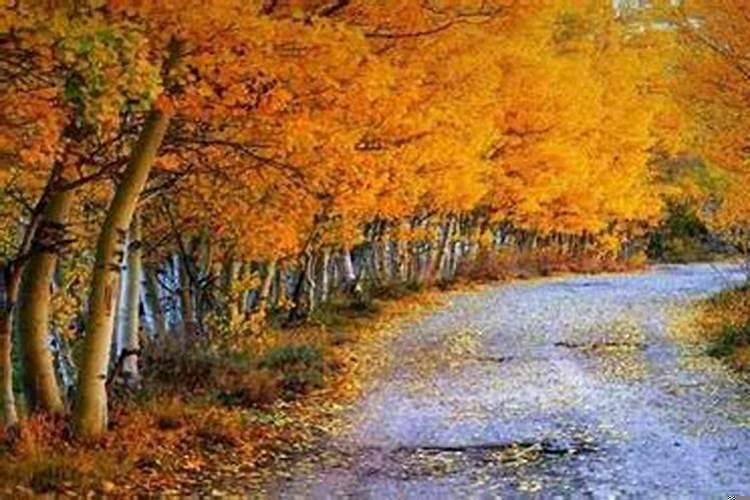 自己能给自己算命么