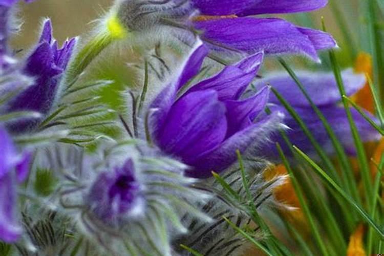 梦见朋友生病要死了