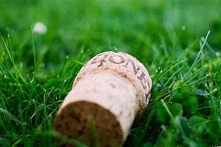 生完孩子财运不好