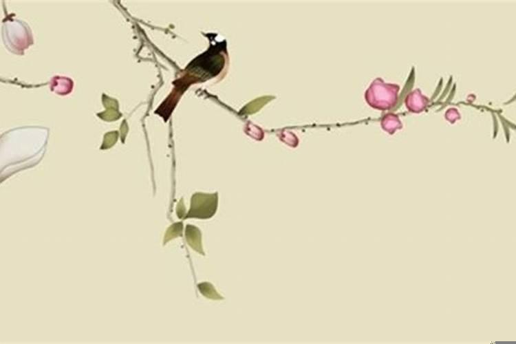 佛说婚姻不顺利的原因