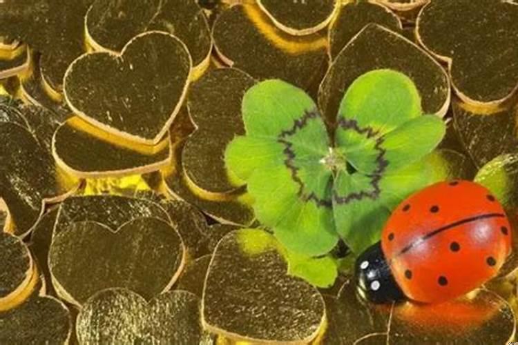 运气不好的面相