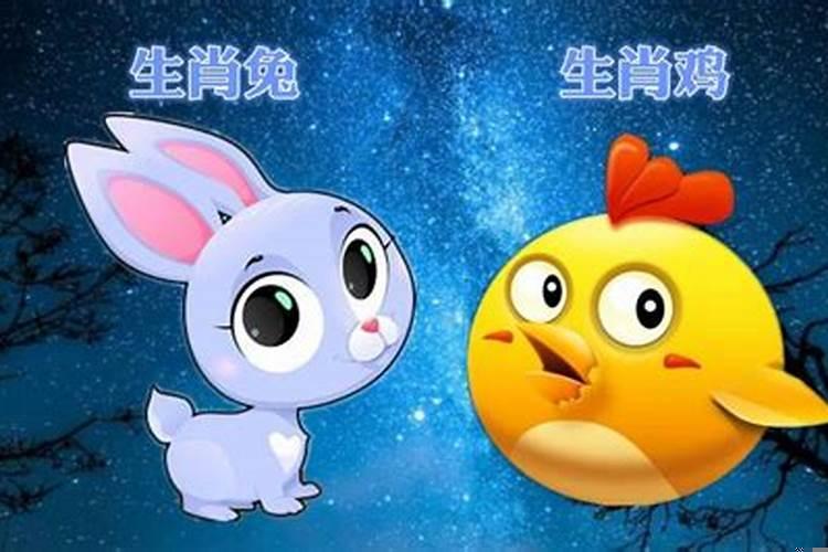 属鸡和兔做生意合不合财