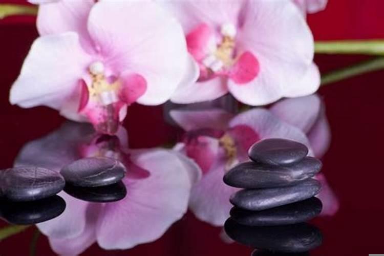 有望结成好姻缘的四大生肖