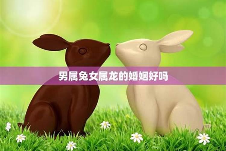 男属兔女属龙结婚好不好