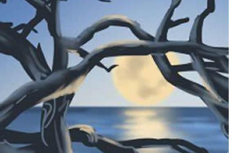 内心忧郁的星座