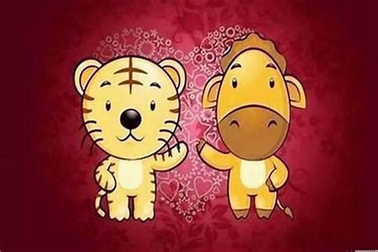 属虎的女人能和属马的男人结婚吗