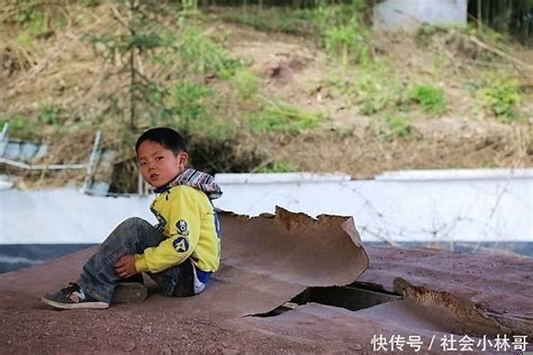 梦到很多狗围着自己