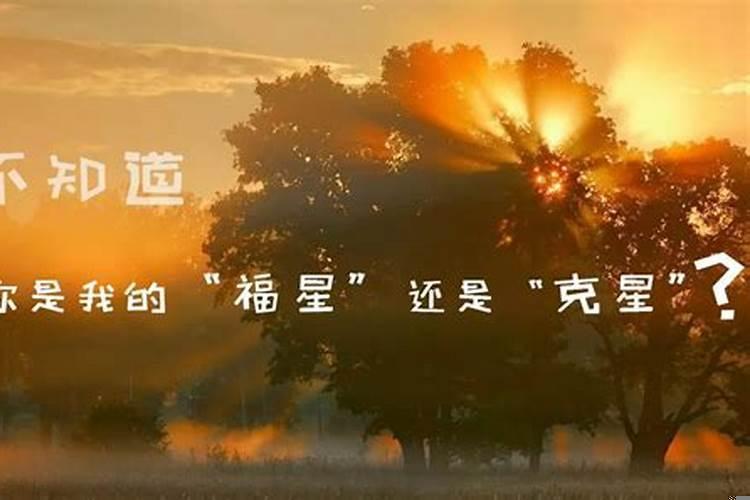 属相和星座都不配