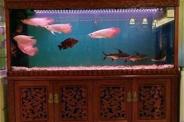 办公室鱼缸如何摆放风水学