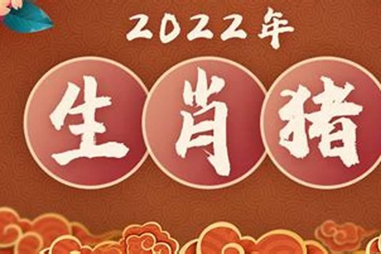 属猪的今年运势2022