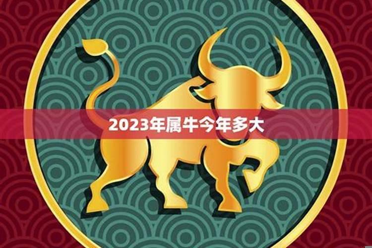 2022牛年运程每月运势