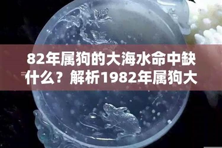 82年属狗大海水命幸运色