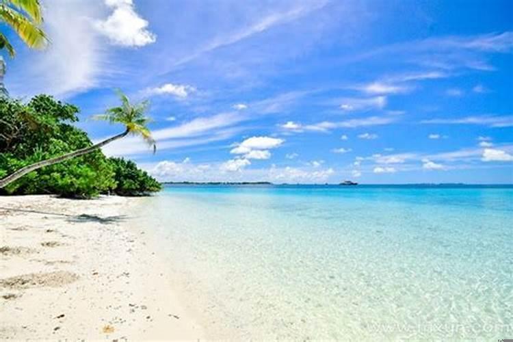 梦见海边景色特别美什么意思