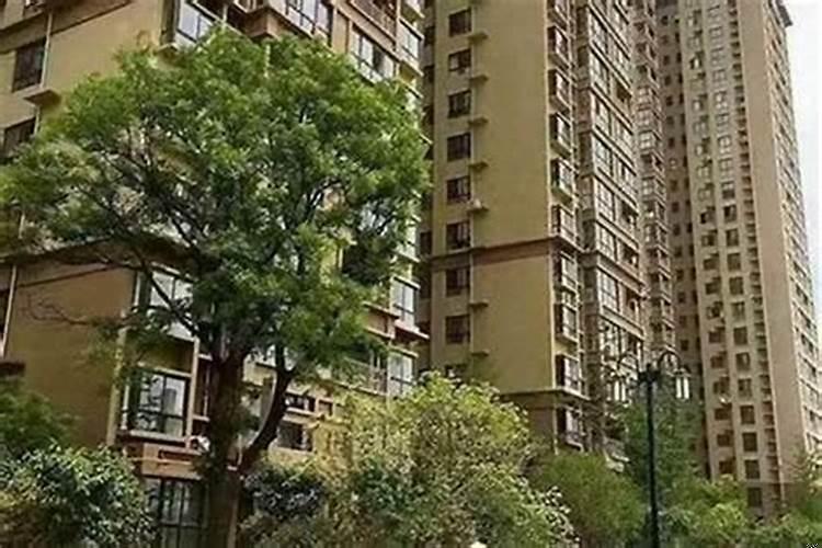 小区大门前有条河