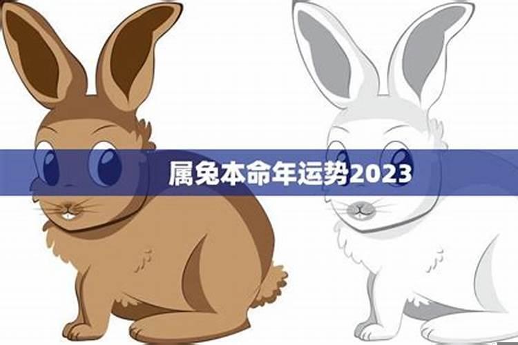 2025年属兔本命年运势