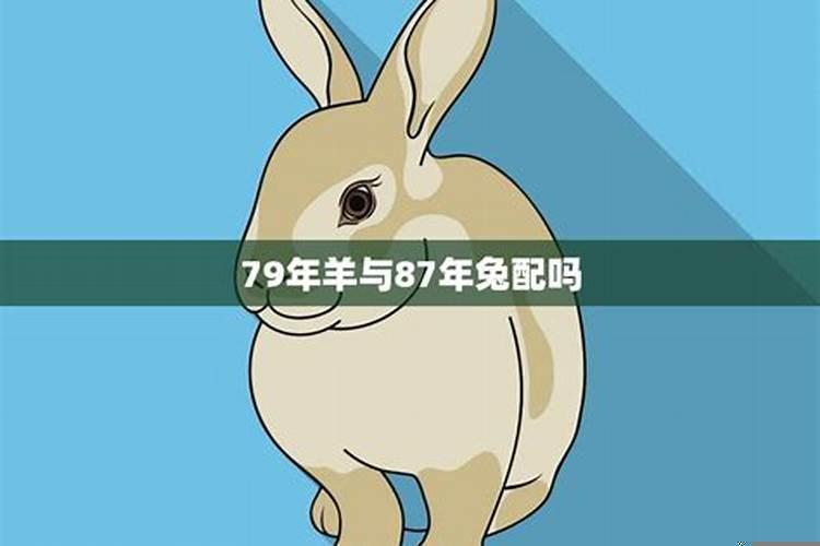 87年兔适合生什么属相
