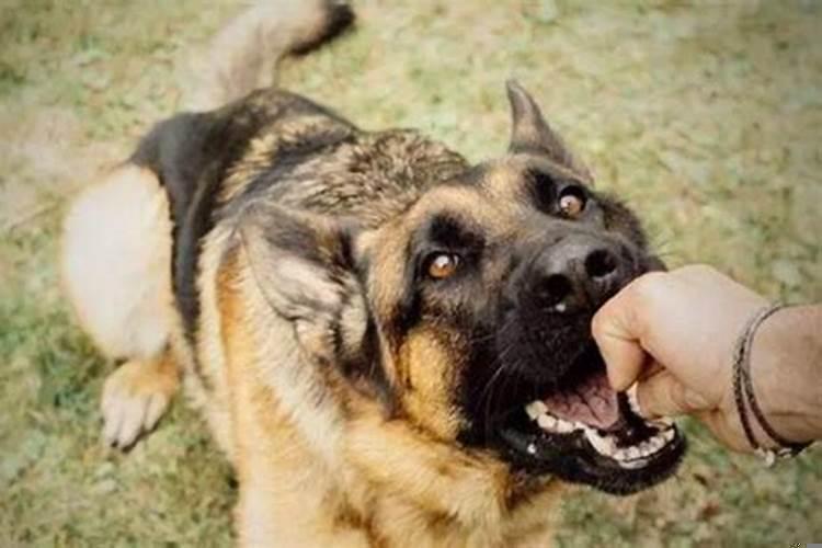 女生梦见自己怀孕是什么征兆