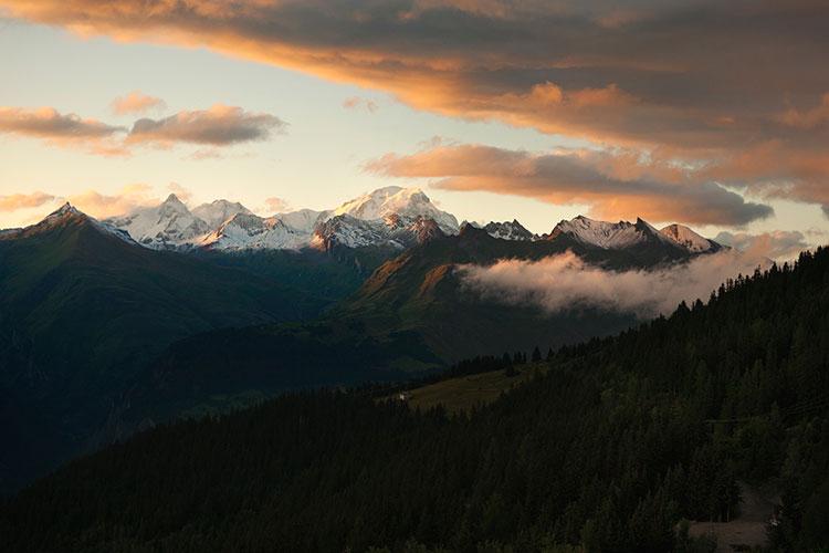属虎多少岁开始走运