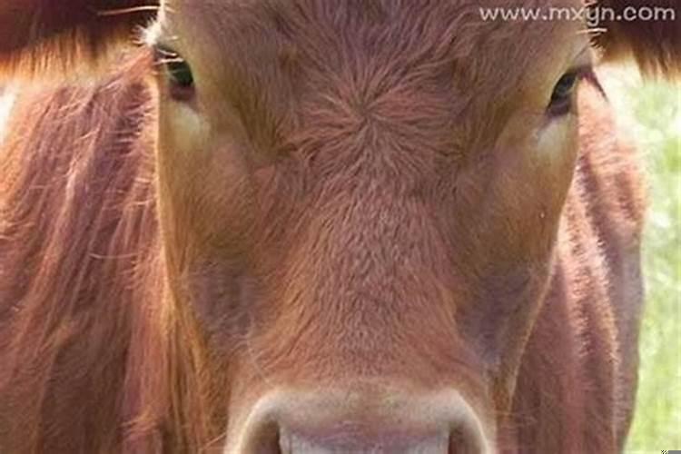 梦见跟仇人和睦相处