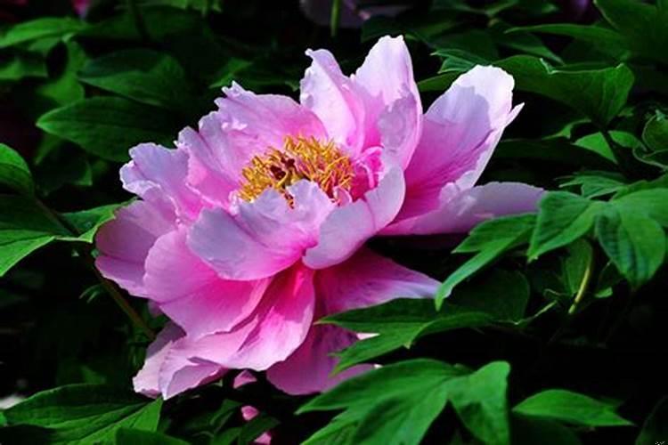 考公务员的准备和须知