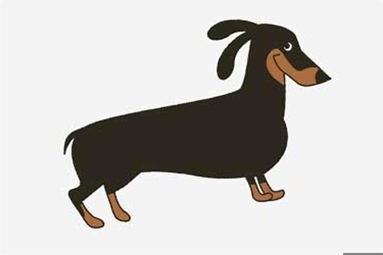 属狗哪个时辰出生最好命运