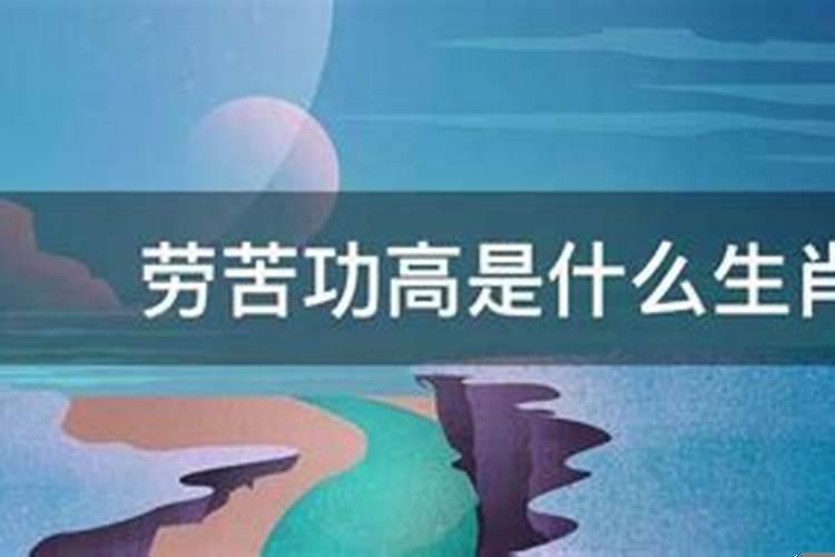 一生辛苦功劳高的生肖